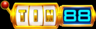 TIN88