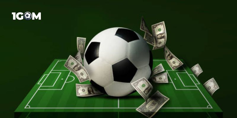 Giải đáp chi tiết một số câu hỏi thường gặp của newbie