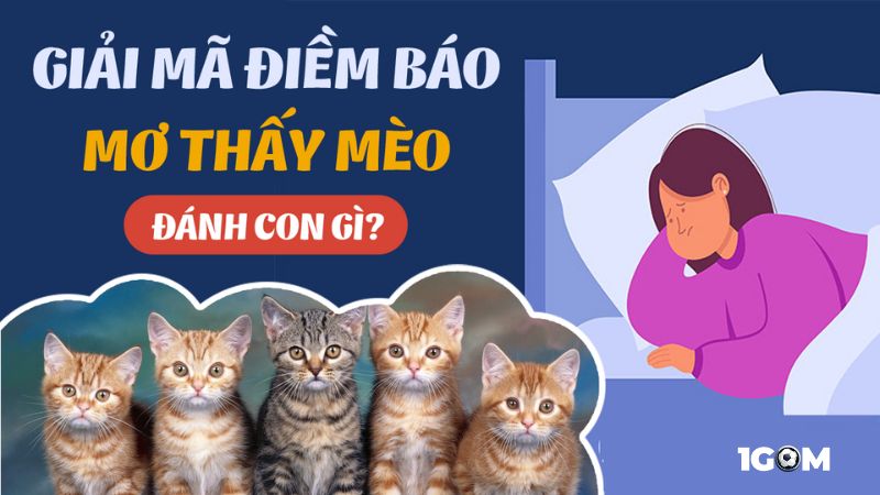 Mơ thấy mèo mang đến rất nhiều ý nghĩa tâm linh