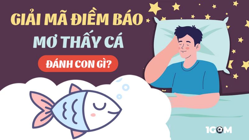 Ngủ mơ bắt cá dự đoán cơ hội thành công