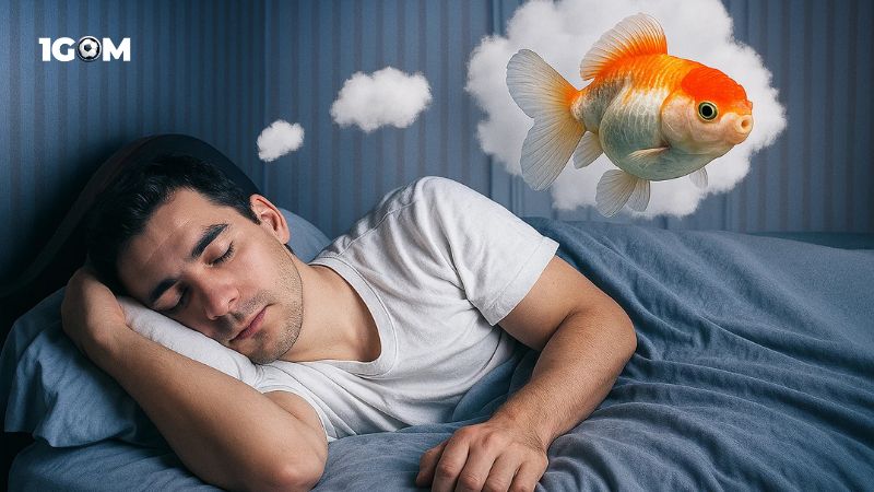 Tìm hiểu hình tượng cá trong văn hóa tâm linh