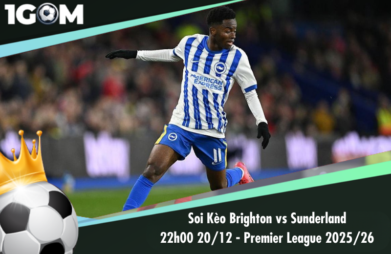 Đội hình dự kiến trước trận Brighton vs Sunderland