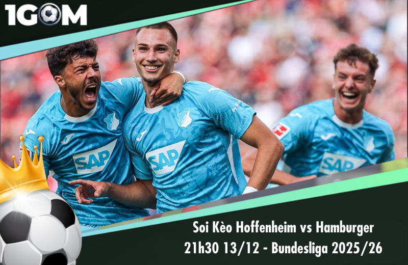 Đội hình dự kiến trước trận Hoffenheim vs Hamburger SV