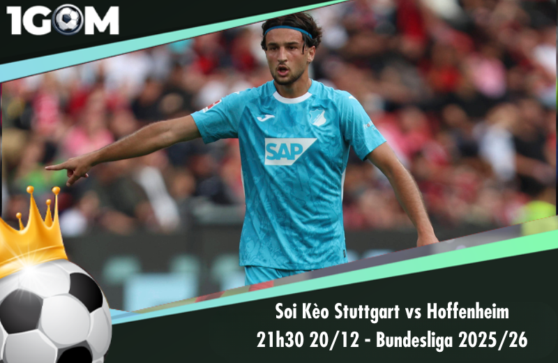 Đội hình dự kiến trước trận Stuttgart vs Hoffenheim