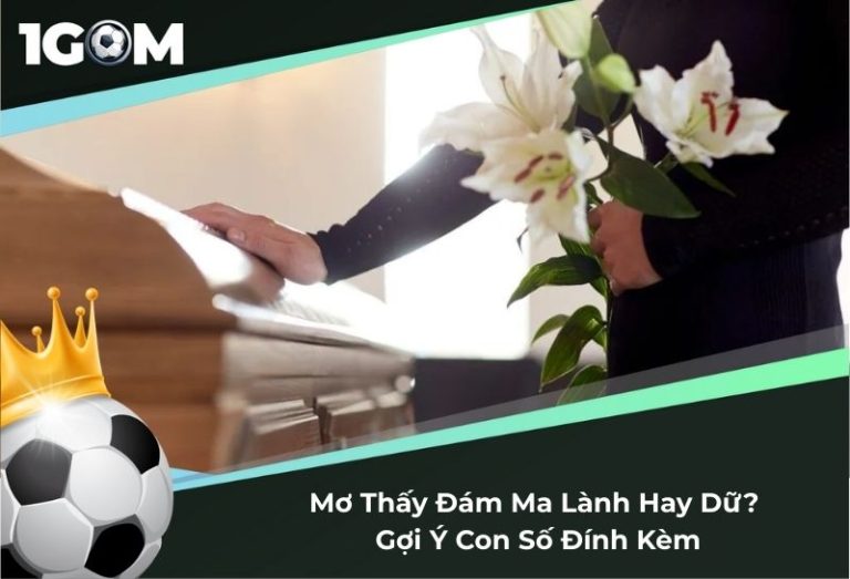 Chiêm Bao Mơ Thấy Đám Ma Lành Hay Dữ? Gợi Ý Con Số Đính Kèm