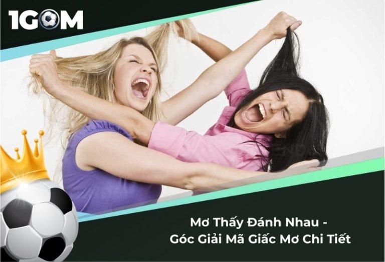 Mơ Thấy Đánh Nhau - Góc Giải Mã Giấc Mơ Chi Tiết