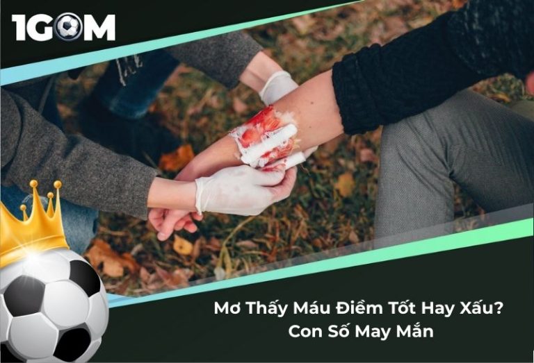 [Góc Giải Đáp] Mơ Thấy Máu Điềm Tốt Hay Xấu? Con Số May Mắn