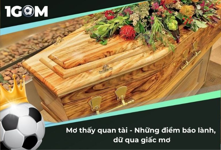 Mơ thấy quan tài - Tổng hợp những điềm báo lành, dữ qua giấc mơ