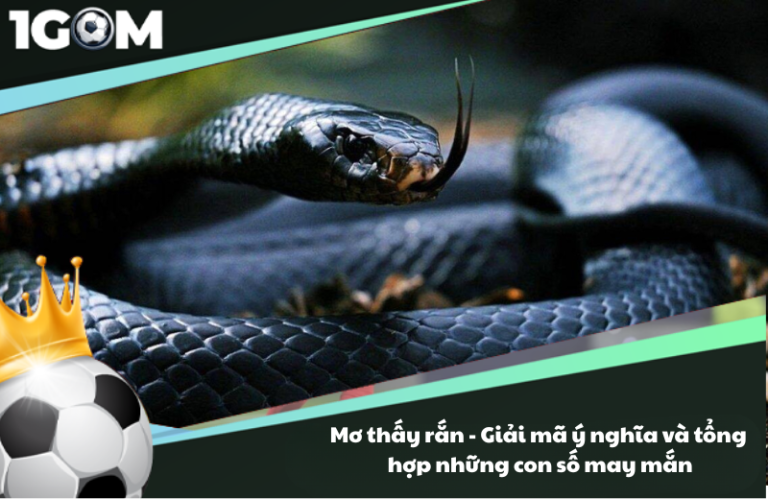 Mơ thấy rắn - Giải mã ý nghĩa và tổng hợp những con số may mắn