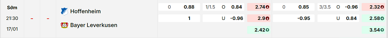 Bảng kèo mới nhất trận Hoffenheim vs Bayer Leverkusen