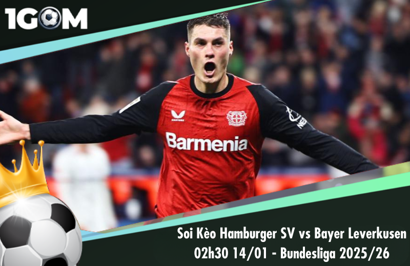 Đội hình dự kiến trước trận Hamburger SV vs Bayer Leverkusen