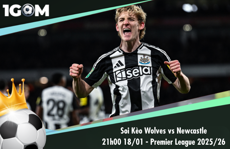 Đội hình dự kiến trước trận Wolves vs Newcastle