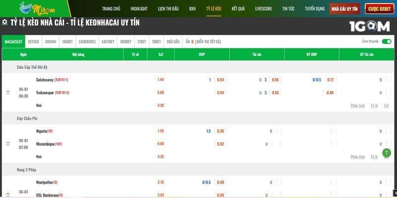 Trải nghiệm những cần cầu và thể thao bùng nổ tại Mitom