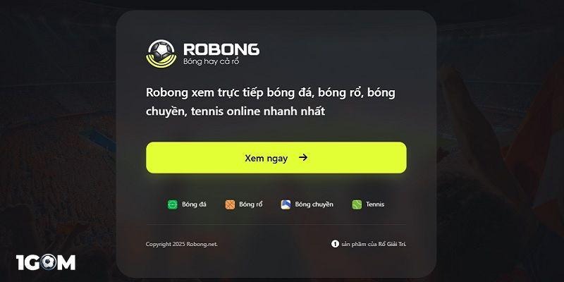 Robong có những ưu điểm gì nổi bật?