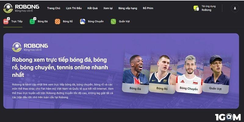 Robong - Nền tảng giải trí bóng đá trực tuyến đặc sắc
