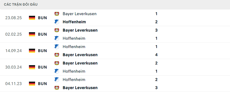 Lịch sử đối đầu Hoffenheim vs Bayer Leverkusen