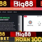 Cách truy cập Vebo nhanh chóng và ổn định qua link 1Gom